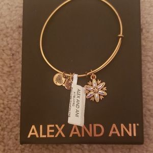 Alex & Ani black Friday snowflake bracelet